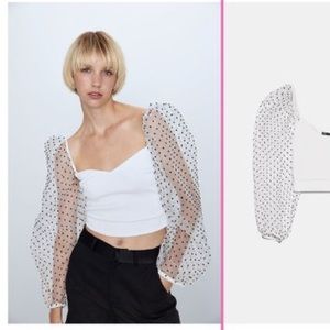 Zara Organza Puff Sleeve Blouse Top